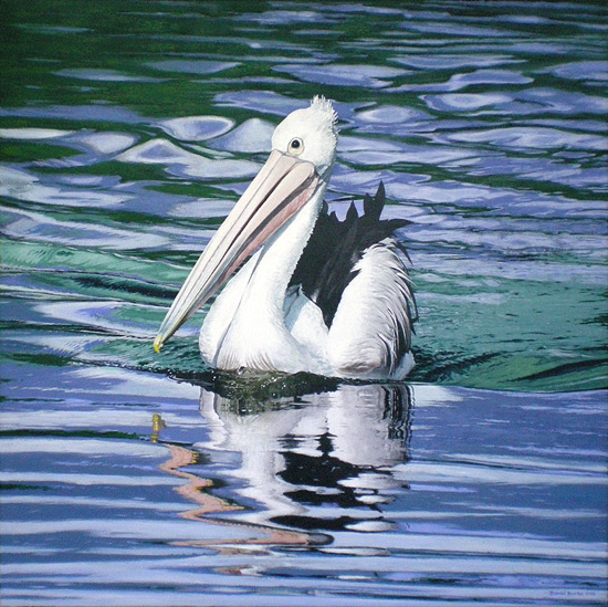 Pelican, Acrylic on canvas.