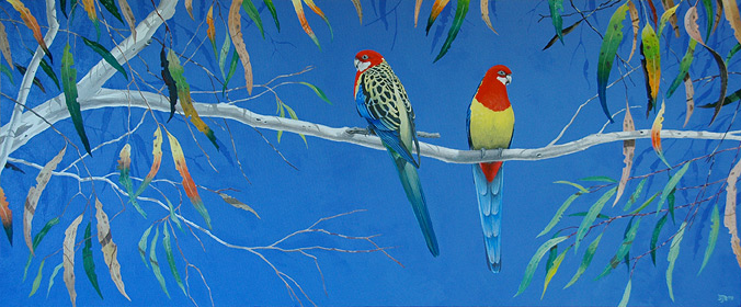 Eastern Rosellas. Acrylic on canvas.