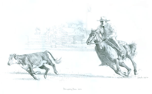 Campdraft at the Kempsey Show. Pencil on paper.