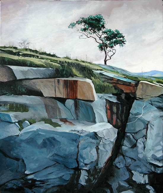 Dunkeld. Just out of Bathurst on the western road I came across this twisted, fascinating little tree struggling through the granite outcrops.
